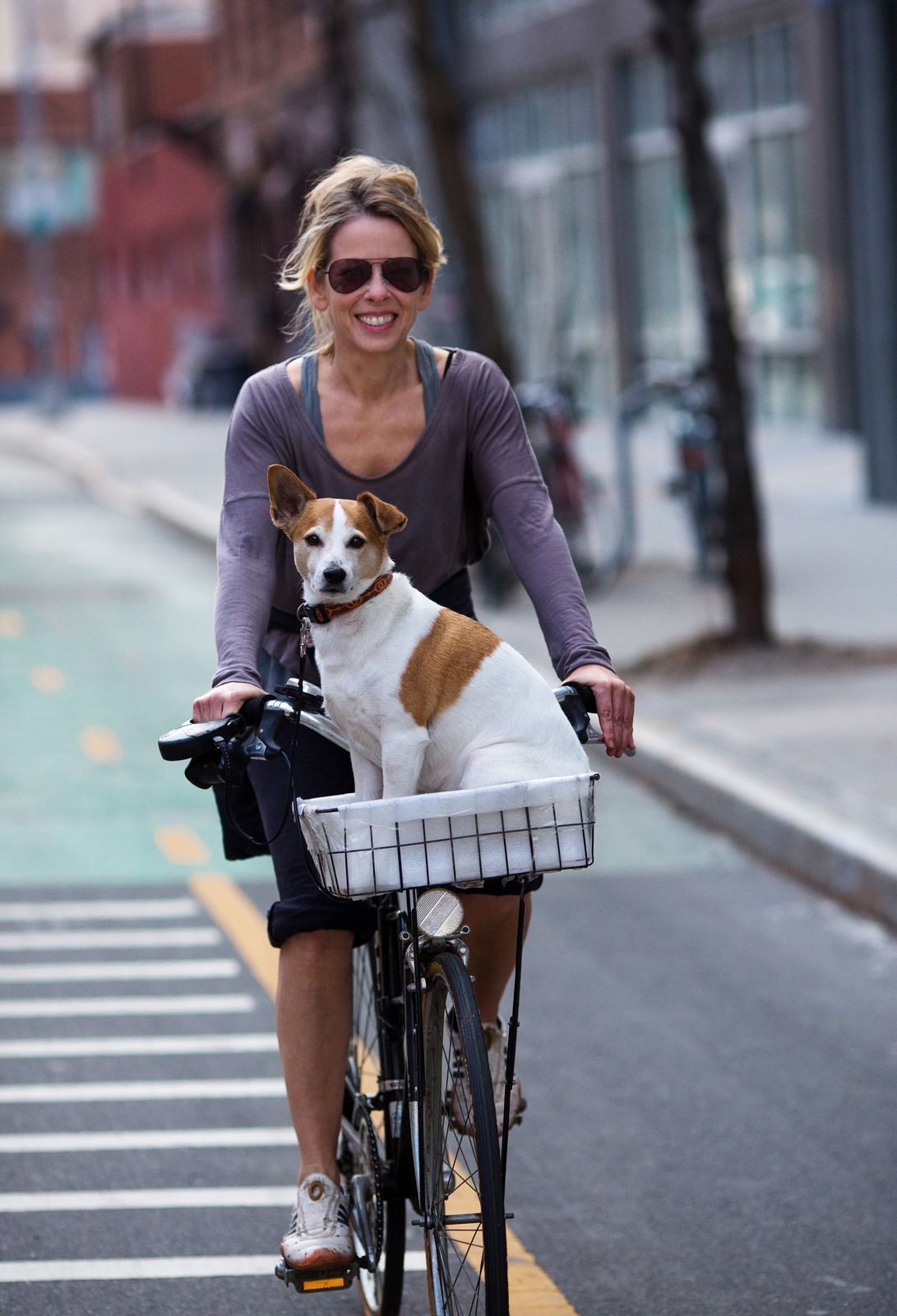 brooklyn bikes and dogs 
