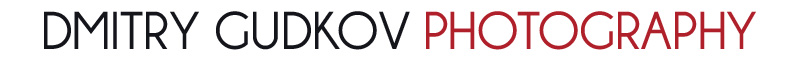 Dmitry Gudkov Photography logo
